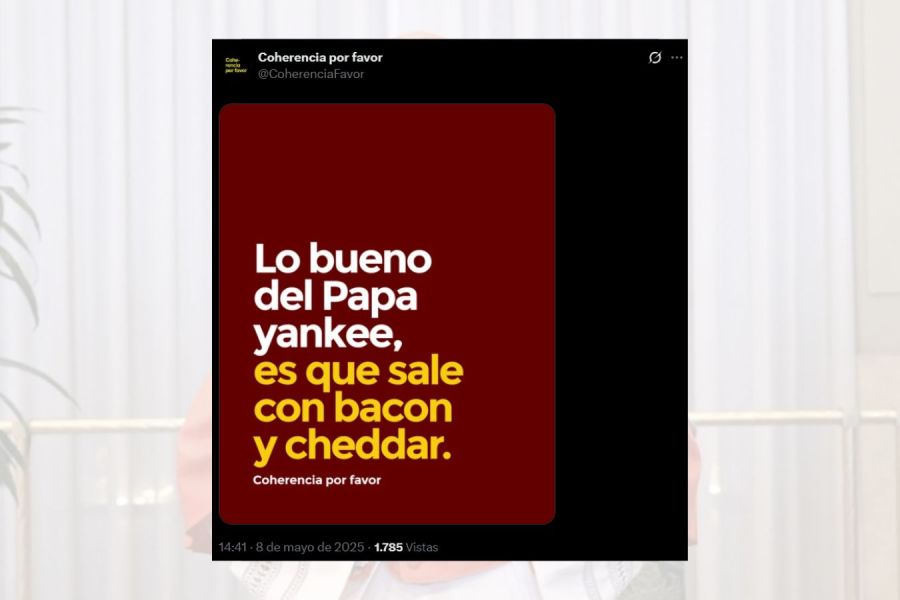 LA ELECCIÓN DE LEÓN XIV-memes
