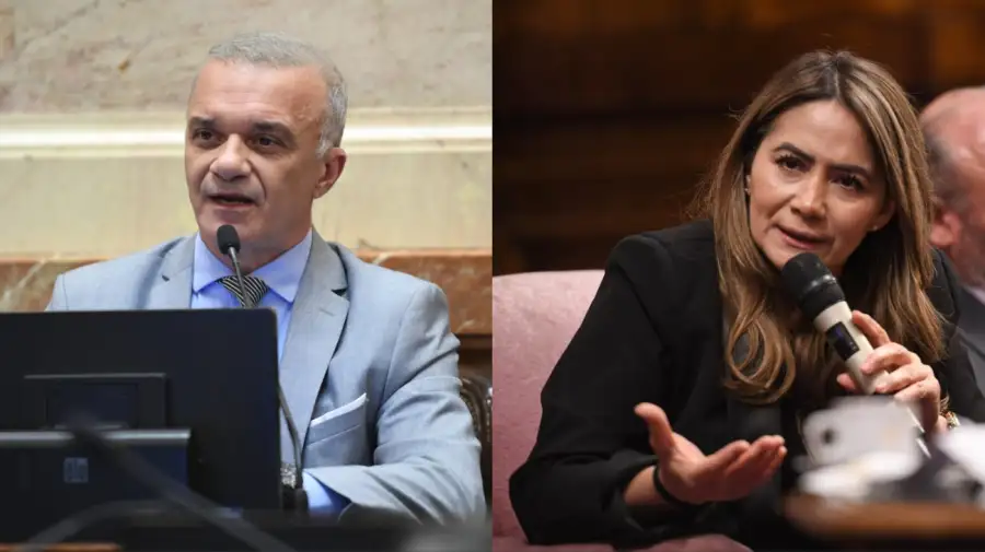 Sonia Rojas Decut y Carlos Arce 20250507