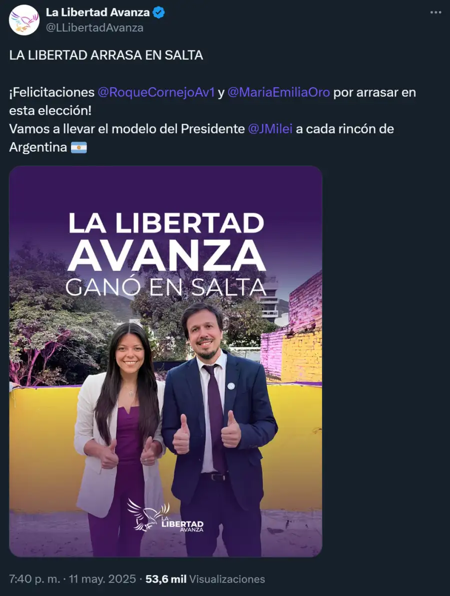 La Libertad Avanza elecciones Salta