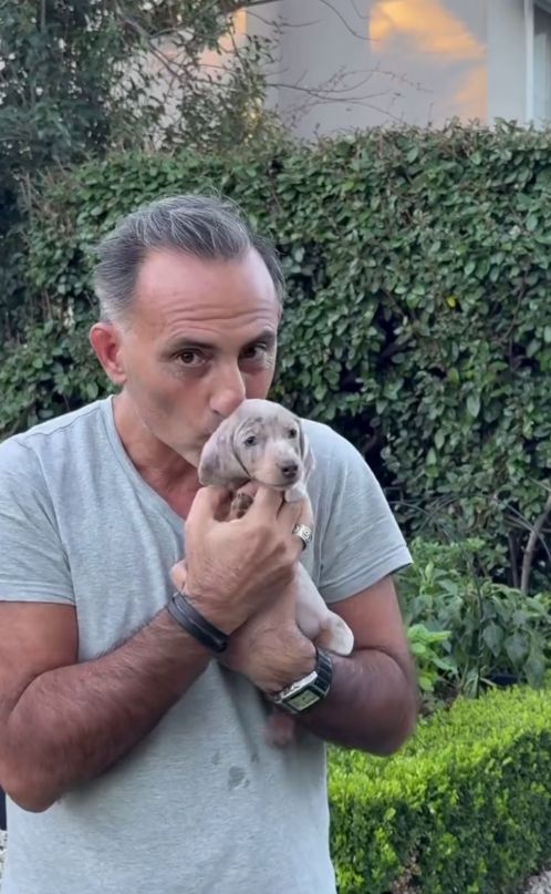 Nuevo perrito de Yanina y Diego Latorre