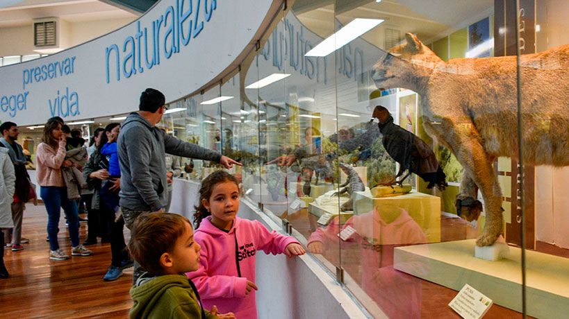 MUSEOS