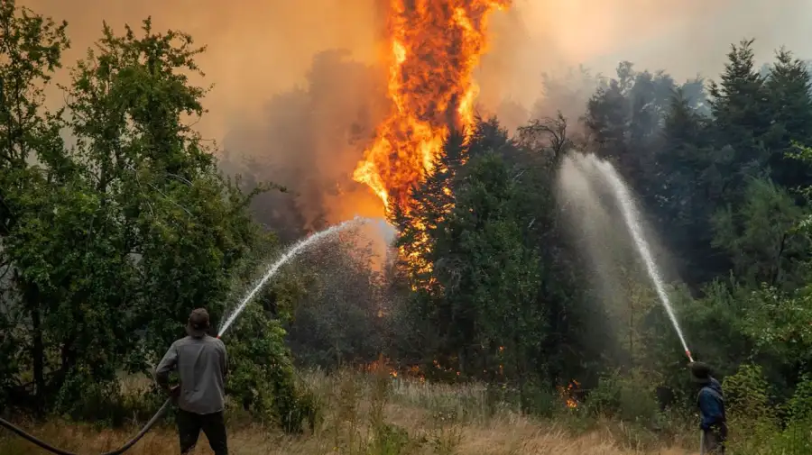 Incendios en la Patagonia