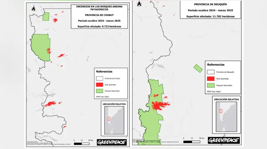 Incendios en la Patagonia