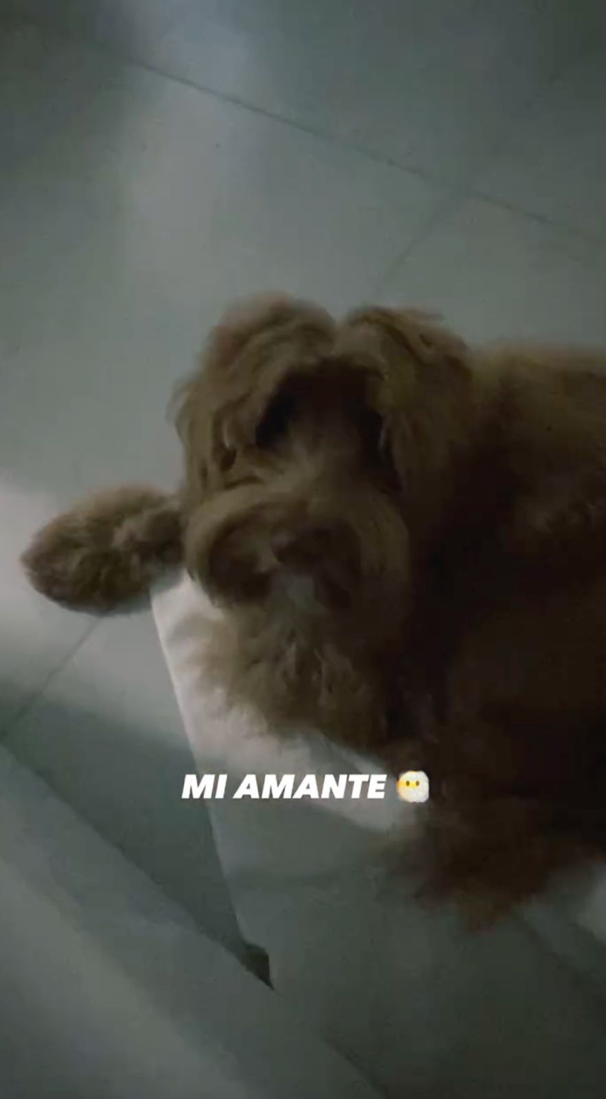 Laurita Fernández