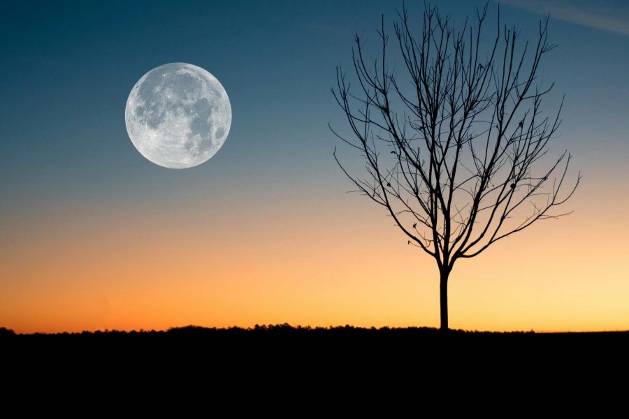 Luna llena junio 11