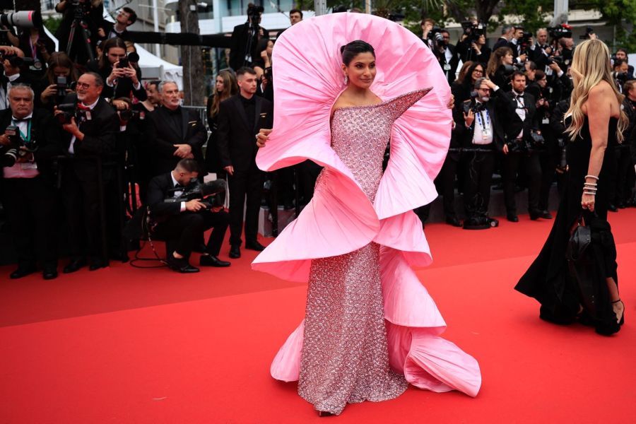Los looks del Festival de Cannes / Créditos: AFP