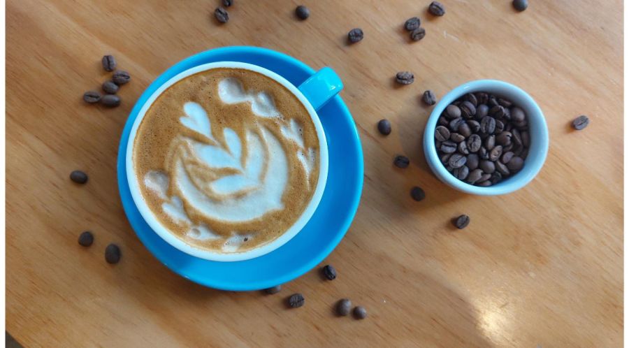 Rosedal Café: La esquina que atrae por su ambiente y su exquisito café