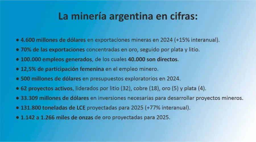 Industria Minera Argentina