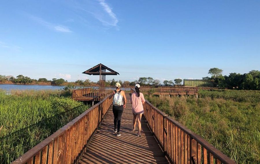 0516_carlospellegrini