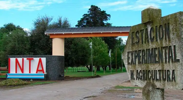inta-manfredi-cordoba