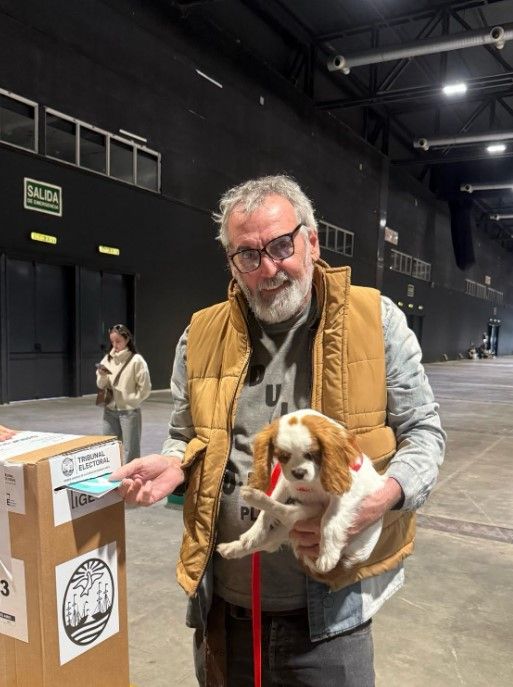 Famosos votando
