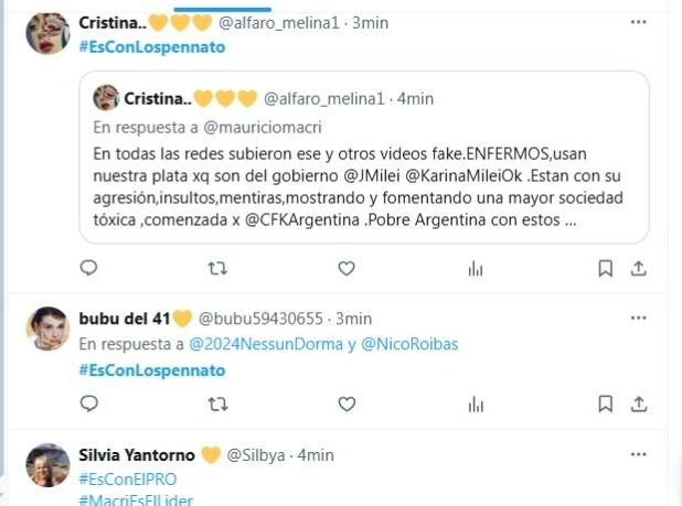 Militantes criticando el video falso contra Lospennato