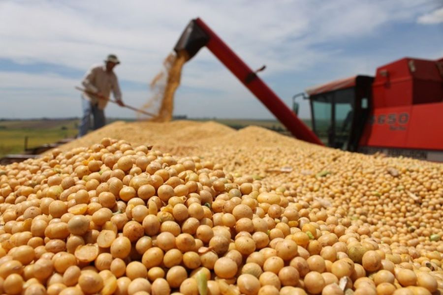 Estiman que Argentina tendrá la segunda cosecha de granos más alta de su historia.
