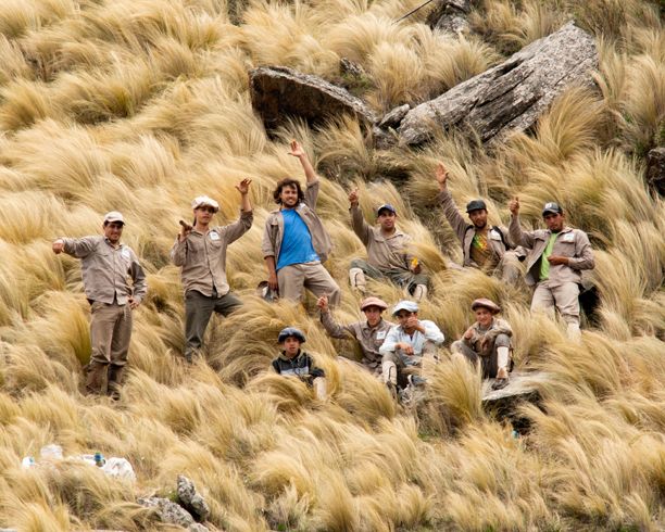 Grupo