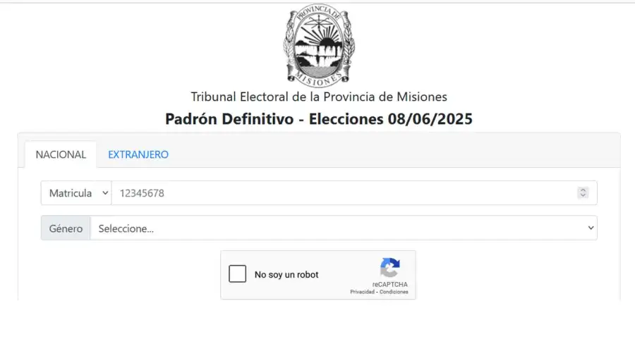 Elecciones en Misiones 202520250521