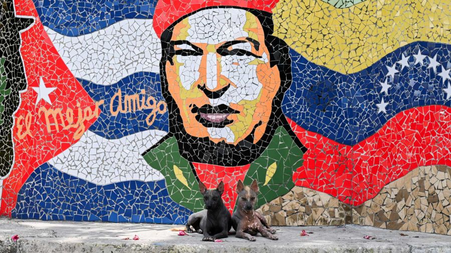 Fotogaleria Dos perros descansan frente a una obra de arte del artista cubano José Fuster, que representa al fallecido presidente venezolano Hugo Chávez, en el pueblo costero de Jaimanitas, a las afueras de La Habana