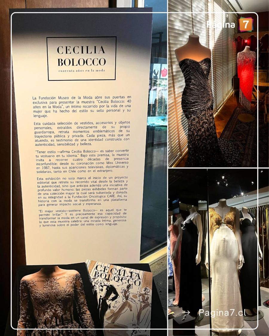 Los lujosos vestidos que subastará Cecilia Bolocco / Créditos: Pagina7 Chile