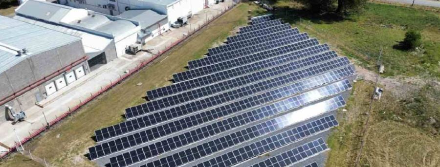 2605_parque solar ezeiza