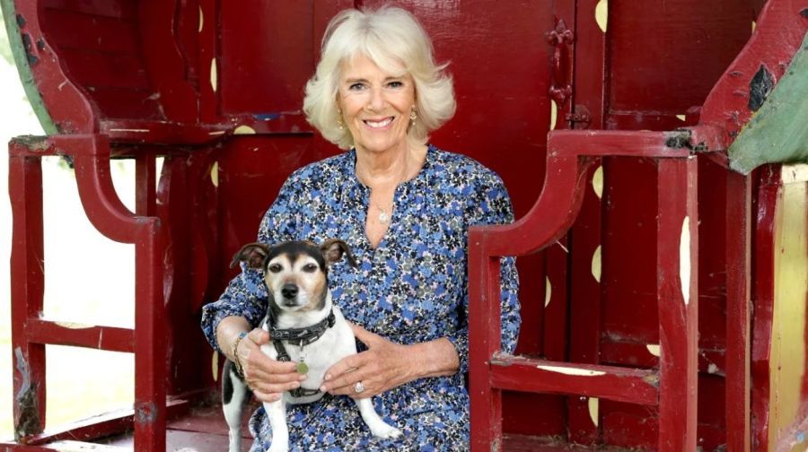Camilla Parker Bowles