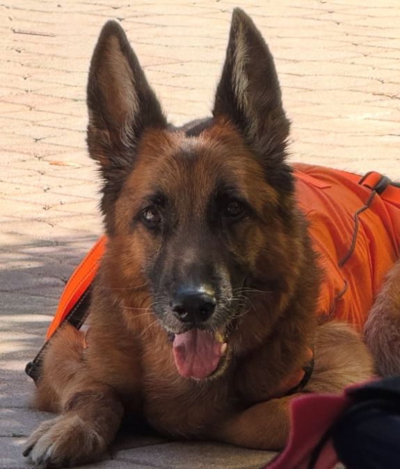 Yago, el perro de Miguel Varoni