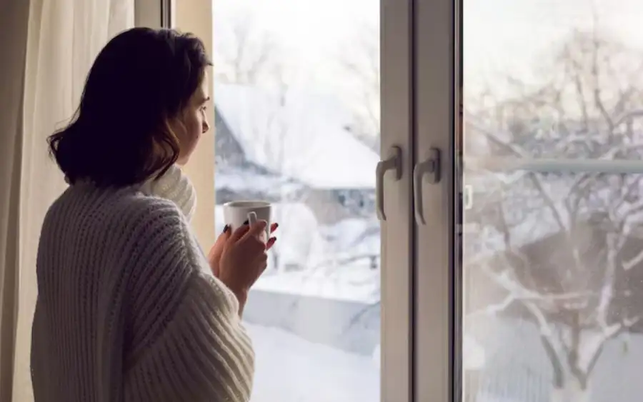 Frìo por la ventana