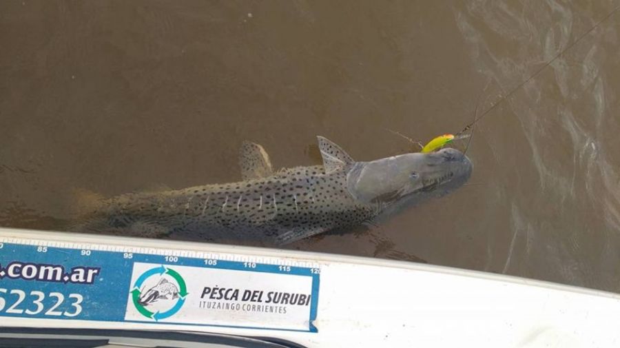 2905_ituzaingo