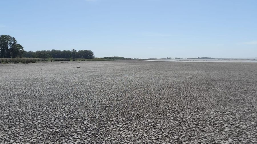 2905_lagunas