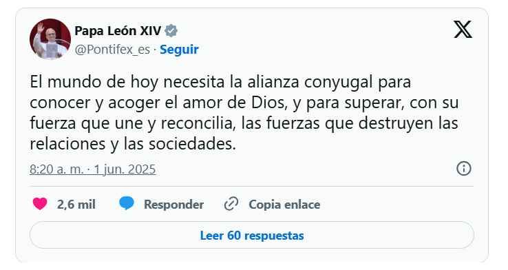 El papa León XIV