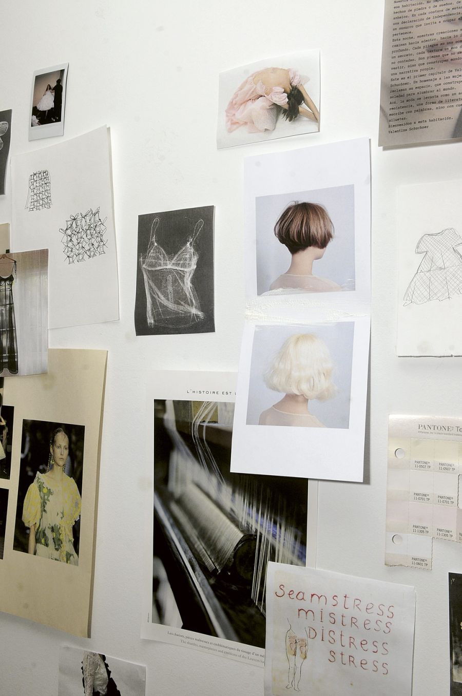 Valentina Schuchner diseñadora