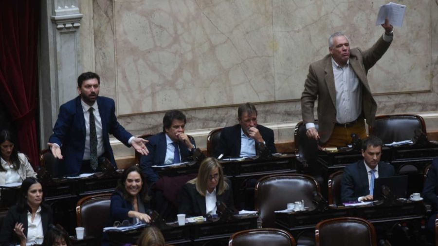 Diputados sesión 20250604