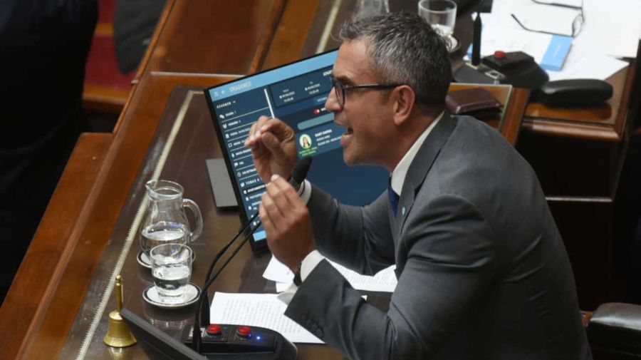 Diputados sesión 20250604