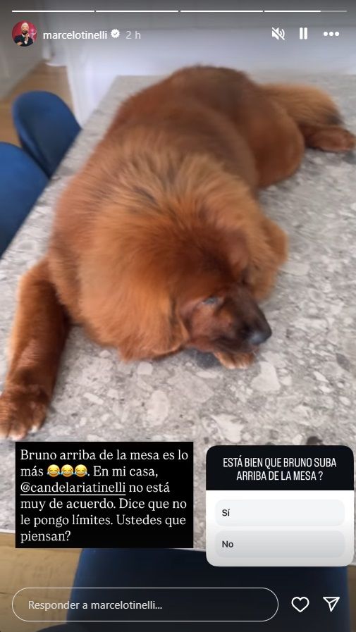 Marcelo y Candelaria Tinelli