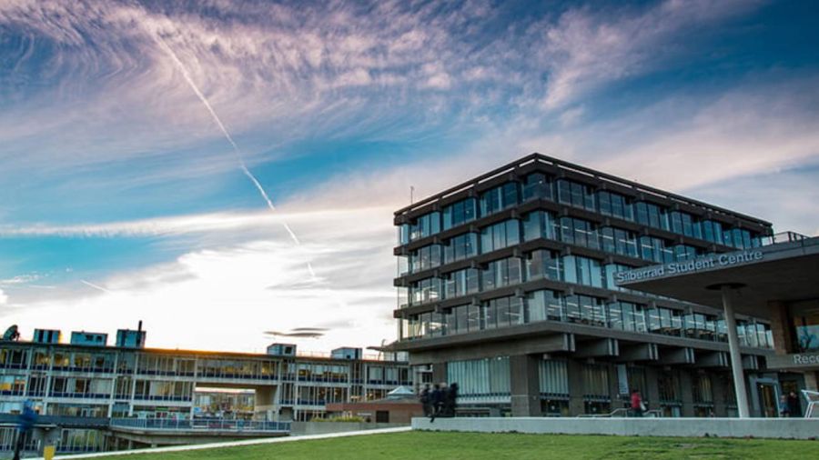 Universidad de Essex