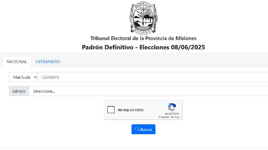 Elecciones Misiones 202520250605
