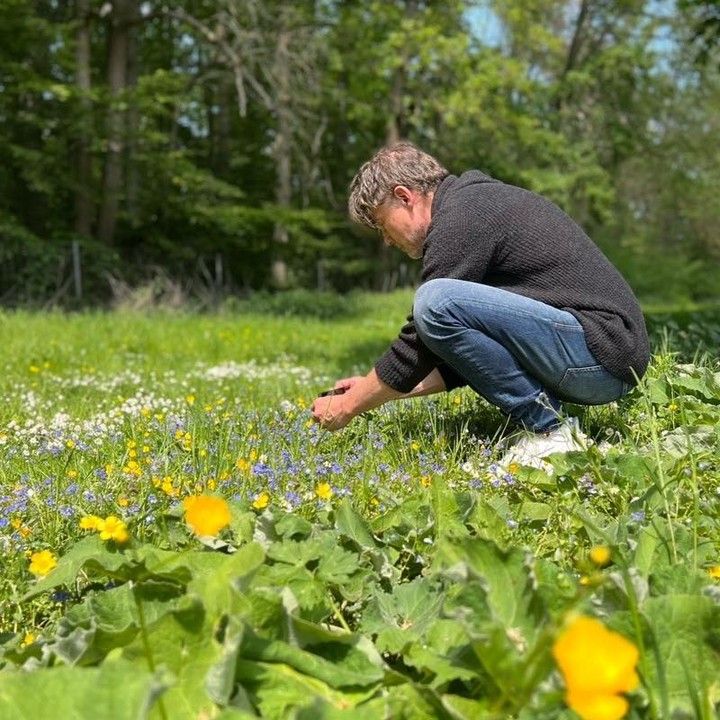 Morten Harket