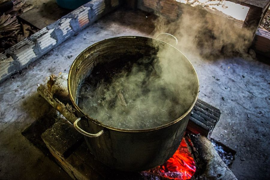Estadounidense muerte tras consumir ayahuasca
