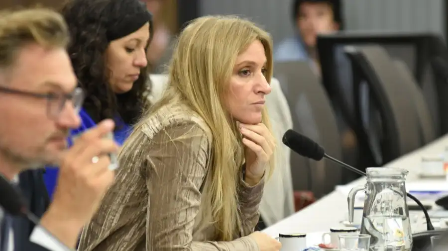 Florencia Carignano es diputada nacional de Unión por la Patria