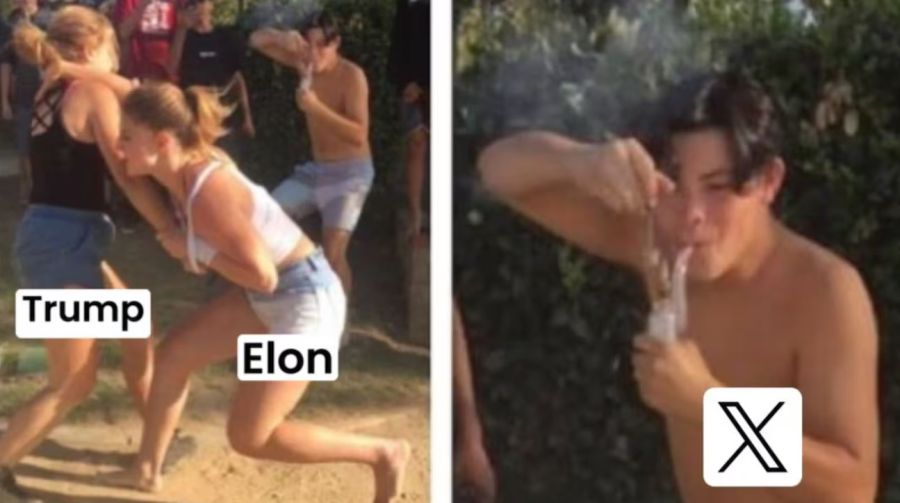 Memes pelea Elon Musk y Donald Trump
