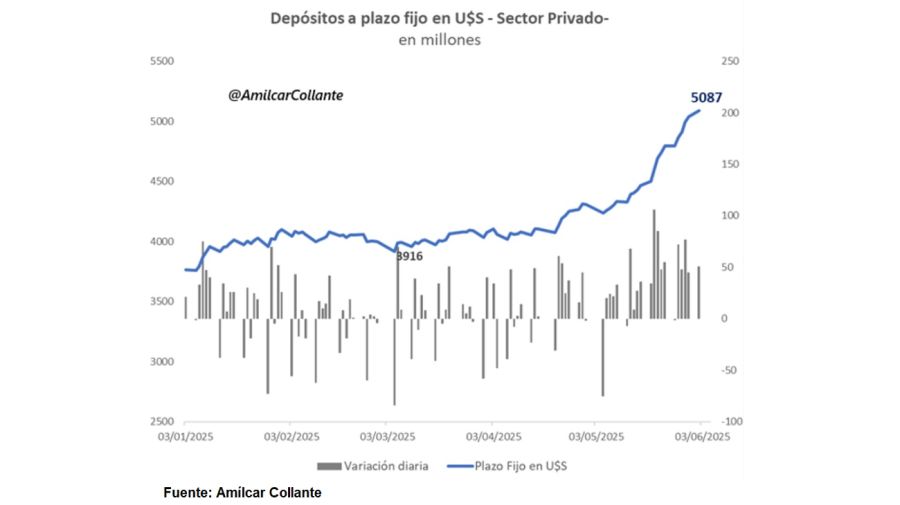 Plazos fijos en dólares: crecieron más de US$ 1.000 millones en dos meses
