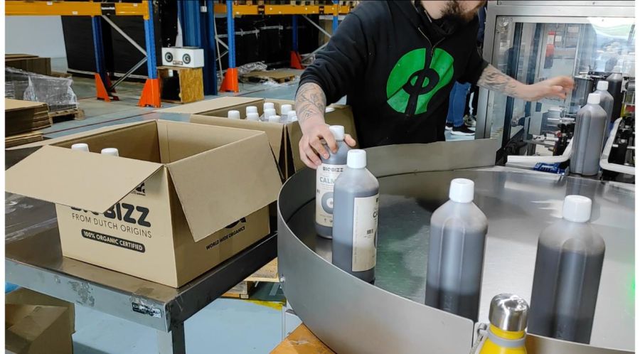 Cultivar la industria verde: la expansión del cultivo orgánico de cannabis en Argentina