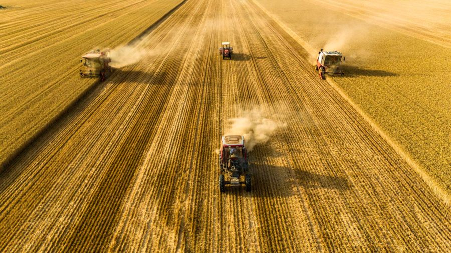 Fotogaleria magen tomada con un dron de cosechadores segando trigo en los campos, en la aldea de Pantang del poblado de Lizhuang, en la ciudad de Shangqiu, en la provincia de Henan, en el centro de China