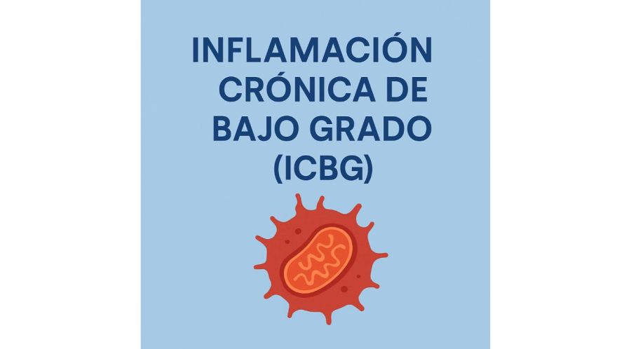 Inflamación silenciosa y energía vital: cómo cuidar tus células desde adentro hacia afuera