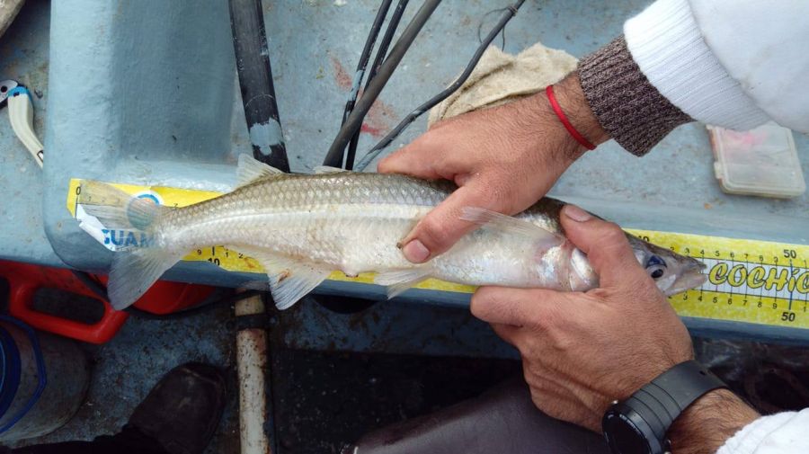 1306_mapa_pique_pesca