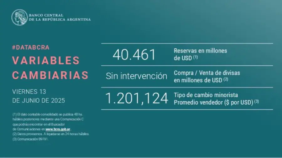 El informe difundido por el BCRA este viernes 13 de junio de 2025.