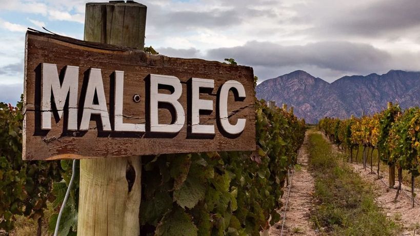 Vino Malbec, La Rioja