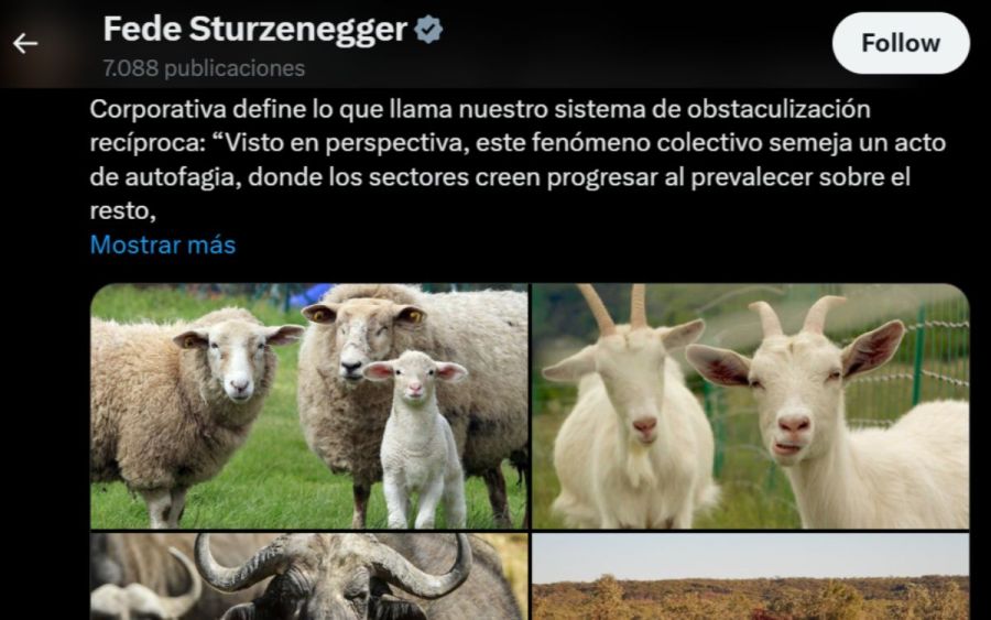 Tweet de Fede Sturzenegger