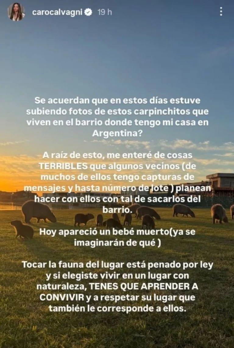 Carolina Calvagni