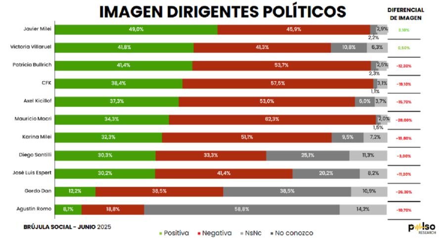 Encuesta PULSO Elecciones 2025
