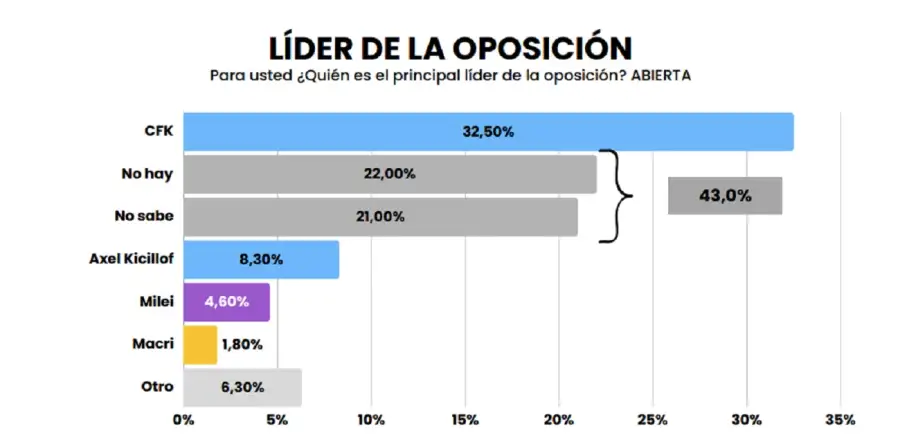 Encuesta PULSO Elecciones 2025