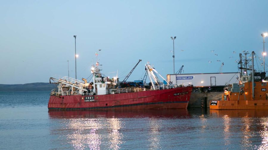 La pesca argentina de langostinos20250619